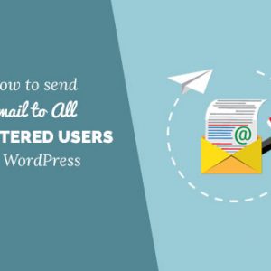 Cách gửi email đến tất cả người dùng đã đăng ký trong WordPress