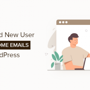 Cách gửi lại email chào mừng người dùng mới trong WordPress